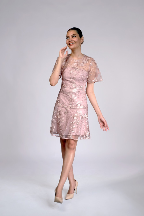 Ashton Embroidered Blush Pink Dress