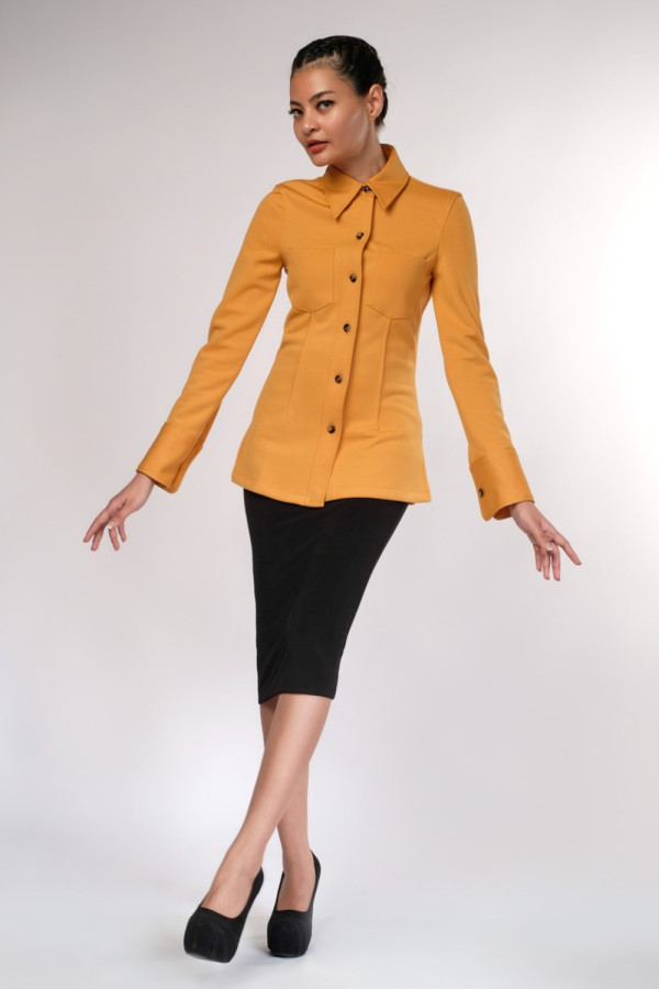 Long Sleeve Mustard Shirt