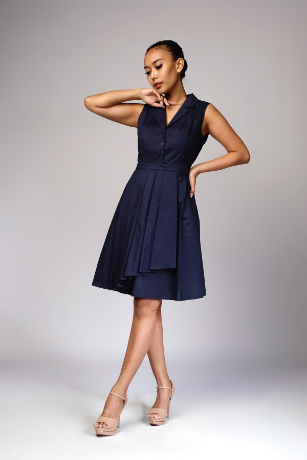 V-Neck Collar Navy Dress