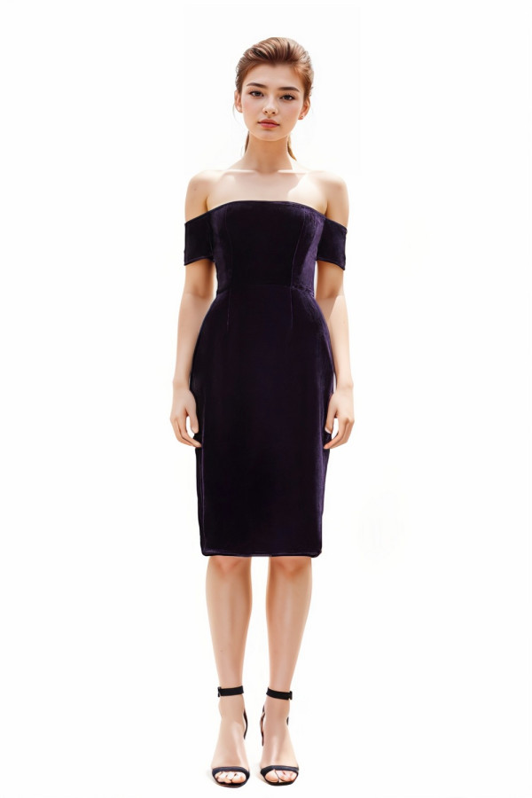 Kerry Plum Velvet Dress