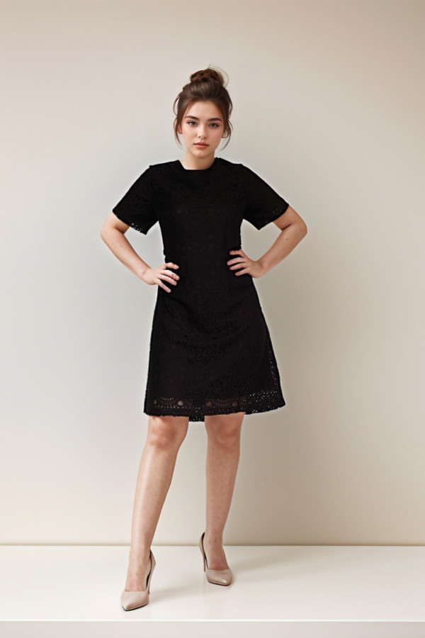 Black A-line Brocade Dress